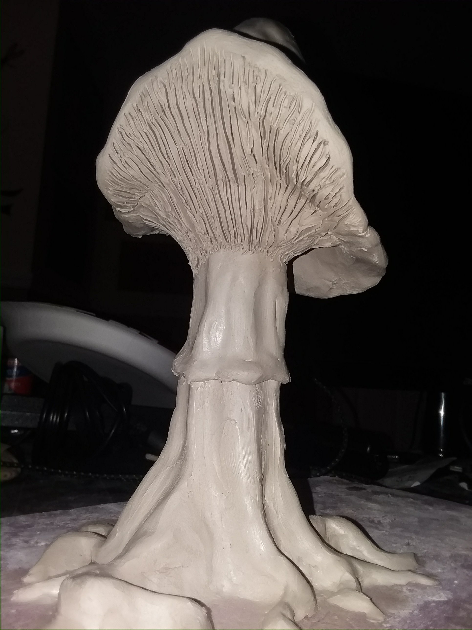 20180528_104842605483593.jpg